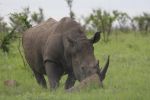 safrica_dec_13_image32.jpg